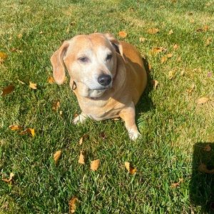 Meet your Posher, Colleen